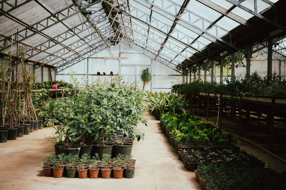Flower Facility Wiring & Controls — CN Electrical licensed electricians serving Hope and the Fraser Canyon, BC